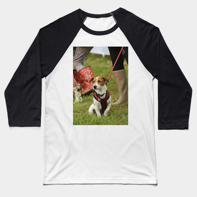 Jack Russell Terrier Baseball T-Shirt by Furtographic